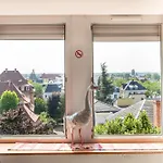 Ganzaliesele, Ideal Escapade A Deux, Vue Vosges, Gare A 2 Minutes A Pied, Centre Historique De Colmar, Lumineux Et Calme, Arrivee Autonome Apartment *