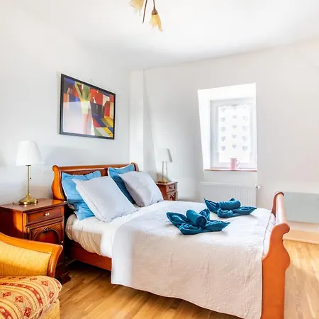 Ganzaliesele, Ideal Pro, Gare A 2 Minutes A Pied, Bus Devant L'Immeuble, Arrivee Autonome, Wifi, Centre Historique De Colmar, Appartement Lumineux Et Calme,