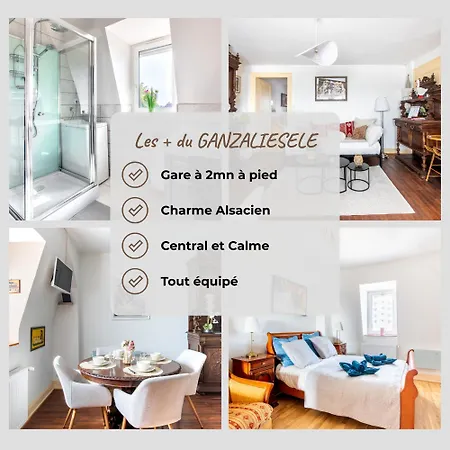 Apartament Ganzaliesele